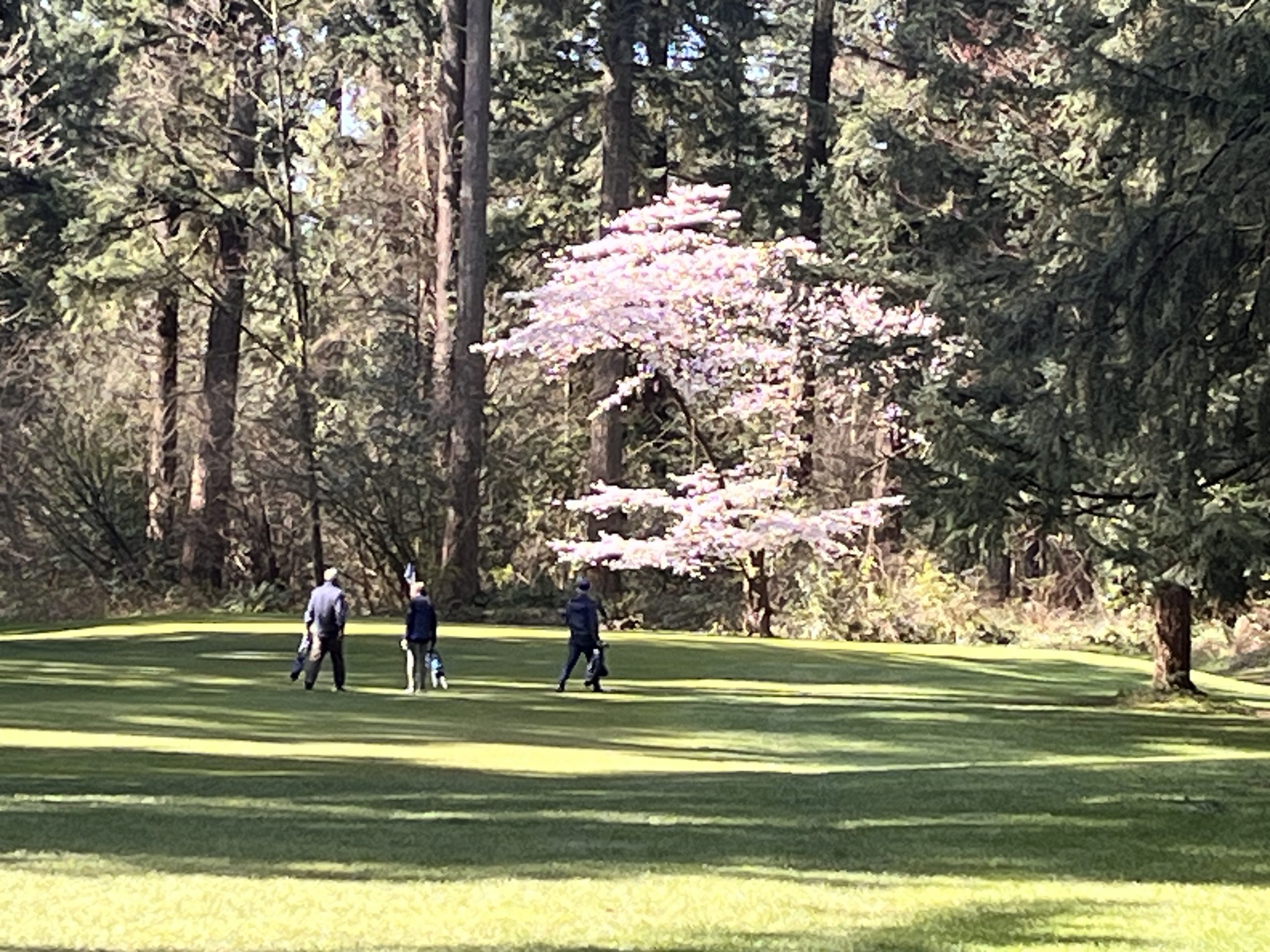 Burnaby Pitch and Putt Golf Meetup: Central Park | VSE
